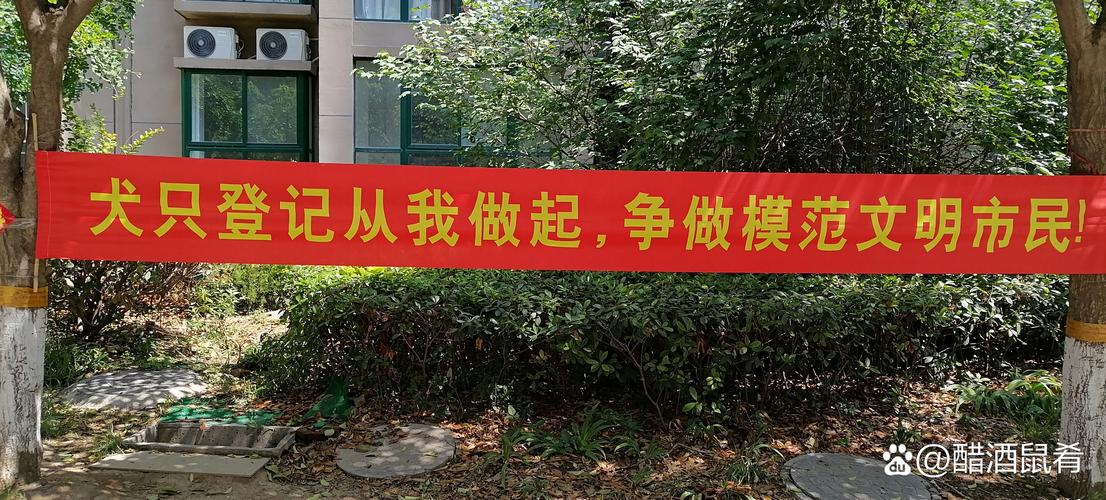 迪鑫进出口